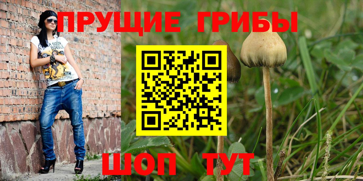 Галлюциногенные грибы прущие грибы Сибай
