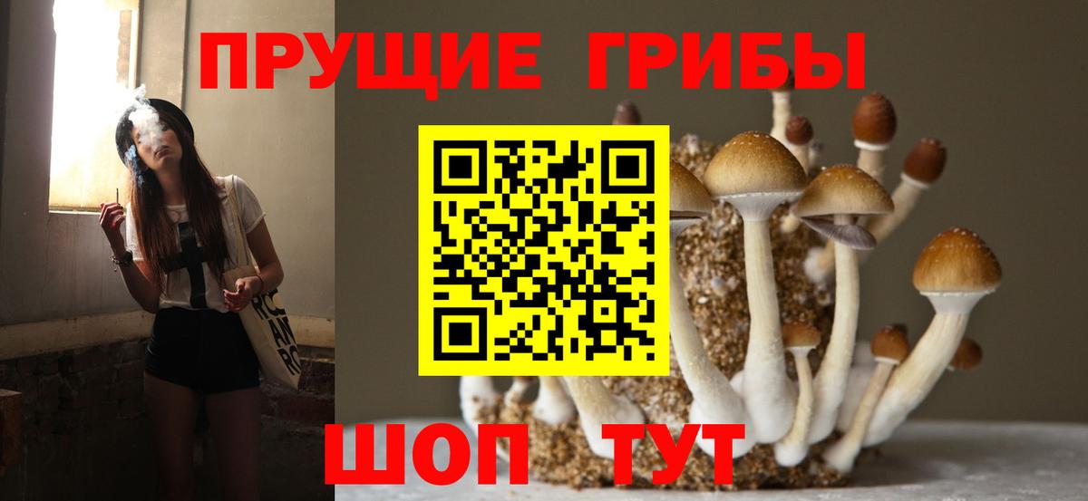 Псилоцибиновые грибы Cubensis  где купить   Сибай  Галлюциногенные грибы Psilocybine cubensis  Вход с VPN 