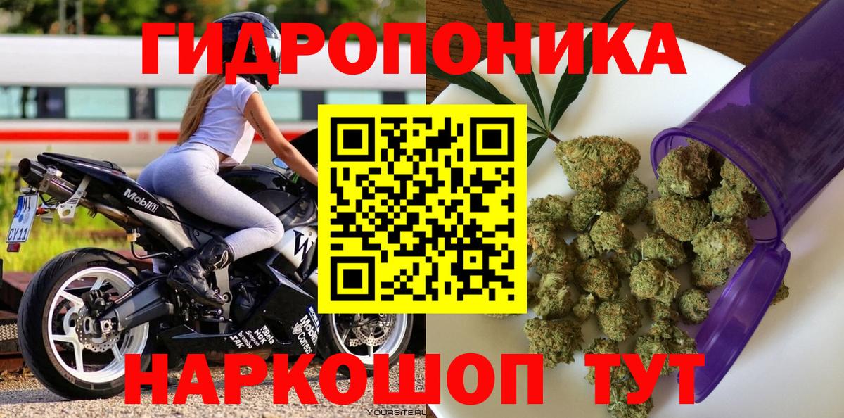 Конопля планчик  Шишки марихуана конопля  Канабис тримм  Сибай  Вход с VPN 
